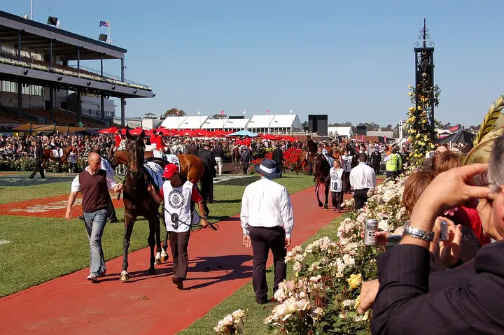 Racehorses led towards the mounting yard on Melbourne Cup day at Flemington